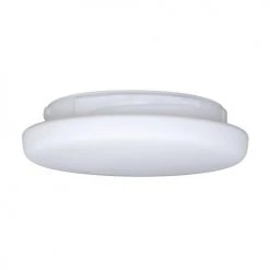 Buy ⌛ Patriot Lighting®Frosted White Replacement Glass 😀