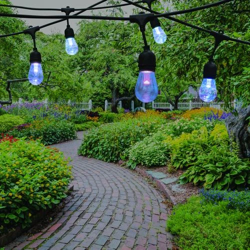 Best deal 🌟 Patriot Lighting® 36' Plug-In 18-Light Integrated LED Color-Changing String Light 💯 4 Best deal 🌟 Patriot Lighting® 36' Plug-In 18-Light Integrated LED Color-Changing String Light 💯 - Image 2