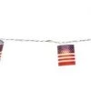 Budget 😀 Patriot Lighting® 8' 8" 10-Light Patriotic Flag String Light ❤️ -Patriot Lighting Sales 346 1164 P