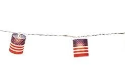 Budget 😀 Patriot Lighting® 8' 8" 10-Light Patriotic Flag String Light ❤️