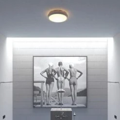 Best reviews of ⌛ Patriot Lighting® Lato Satin Nickel Integrated LED Flush Mount Ceiling Light ✨ -Patriot Lighting Sales 3482124 Alt5