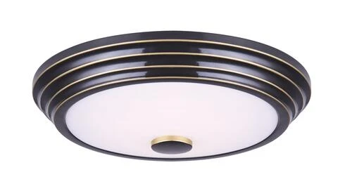 Hot Sale 🎁 Patriot Lighting® Lyra Rubbed Bronze Integrated LED Flush Mount Ceiling Light ⌛ 3 Hot Sale 🎁 Patriot Lighting® Lyra Rubbed Bronze Integrated LED Flush Mount Ceiling Light ⌛