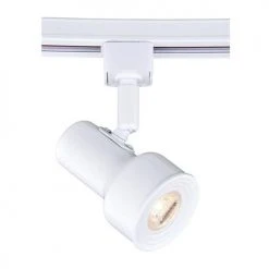 Wholesale ✔️ Patriot Lighting® Step 1-Light White LED Track Lighting Head 🤩