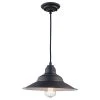 Wholesale 🔔 Patriot Lighting® Denzel Oil-Rubbed Bronze 1-Light Pendant 🛒 1 Wholesale 🔔 Patriot Lighting® Denzel Oil-Rubbed Bronze 1-Light Pendant 🛒 -Patriot Lighting Sales 3518485