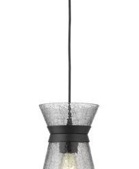 Brand new 🌟 Patriot Lighting® Abelia Black 1-Light Pendant ❤️ -Patriot Lighting Sales 3518666 P ALT1