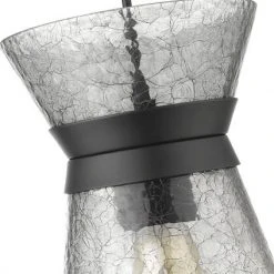 Brand new 🌟 Patriot Lighting® Abelia Black 1-Light Pendant ❤️ -Patriot Lighting Sales 3518666 P ALT3