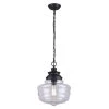 Brand new ❤️ Patriot Lighting® Caffrey Oil-Rubbed Bronze 1-Light Pendant 👏 -Patriot Lighting Sales 3518744 P