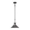 New 💯 Patriot Lighting® Ashtyn Matte Black & Charcoal Patina 1-Light Mini Pendant 👍 -Patriot Lighting Sales 3518783 Master