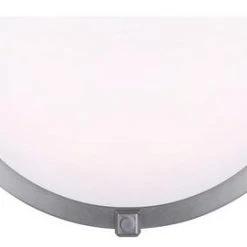 Best Pirce ❤️ Patriot Lighting® Gilda Brushed Nickel LED Indoor Wall Light 👏