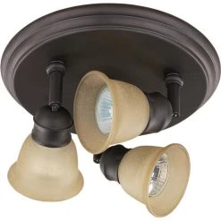 Flash Sale ⭐ Patriot Lighting® Port Oil-Rubbed Bronze 3-Light Flush Mount Ceiling Light 🤩