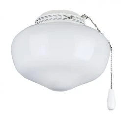 Buy 👍 Patriot Lighting® Opal Schoolhouse LED Ceiling Fan Light 👍