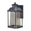 Best deal 🌟 Patriot Lighting® Eliza Textured Black LED Outdoor Wall Light ❤️