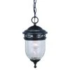 Deals ⌛ Patriot Lighting Elegant Home Patriot Lighting® Elegant Home Oaklynn Forged Sienna Outdoor Pendant Light 🎁 -Patriot Lighting Sales 356 3835 P