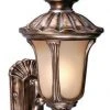 Cheap ⭐ Patriot Lighting® Windsor Parisian Bronze Outdoor Wall Light ✔️