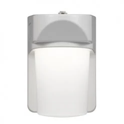 Budget 🎉 Patriot Lighting® White LED Dusk-to-Dawn Outdoor Security Jelly Jar ⭐