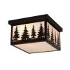 Promo 😀 Patriot Lighting® Forest Burnished Bronze Outdoor Ceiling Light 👏