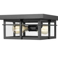 Coupon 🛒 Patriot Lighting® Ward Matte Black Flush Mount Outdoor Ceiling Light 🎉