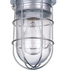 Budget 😉 Patriot Lighting® All-Weather 1-Light Wall/Ceiling Barn Light W/ Metal Guard ✔️
