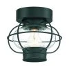 Top 10 ✔️ Patriot Lighting® Shoalview Bronze 1-Light Outdoor Flush Mount Ceiling Light 🔥 -Patriot Lighting Sales MND20325Q1