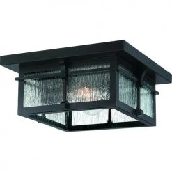 Budget 🥰 Patriot Lighting® Wren Matte Black 2-Light Outdoor Flush Mount Ceiling Light 🔥