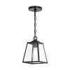 New 👍 Patriot Lighting® Grant Black 1 Light Mini Pendant 🔥 -Patriot Lighting Sales P0346