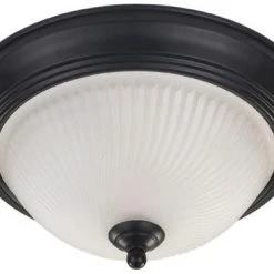 Coupon ⌛ Patriot Lighting® Replacement Glass Shade For Frosted Glass Flush Mount ✨
