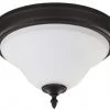 New ✨ Patriot Lighting® Opal Replacement Glass Shade For Addision Flush Mount 🎉 -Patriot Lighting Sales RGLIFM217