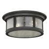 Coupon 💯 Patriot Lighting® Hanover Brushed Iron 2-Light Outdoor Flush Mount Light ✨ 2 Coupon 💯 Patriot Lighting® Hanover Brushed Iron 2-Light Outdoor Flush Mount Light ✨ -Patriot Lighting Sales T0155