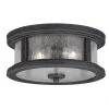 Brand new ⭐ Patriot Lighting® Cumberland Rust Iron 2-Light Outdoor Flush Mount Light 🎁 -Patriot Lighting Sales T0290