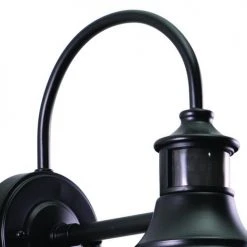 New ✨ Patriot Lighting® Dualux® Dorado Dark Bronze Outdoor Wall Light ❤️ -Patriot Lighting Sales T0387 2