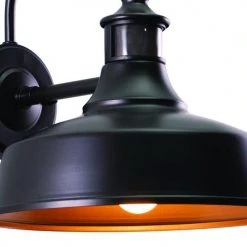 New ✨ Patriot Lighting® Dualux® Dorado Dark Bronze Outdoor Wall Light ❤️ -Patriot Lighting Sales T0387 4