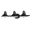 Coupon ✔️ Patriot Lighting® Akron Oil Rubbed Bronze 3 Light Vanity Light ⭐