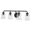 Buy 🎉 Patriot Lighting® Toledo Matte Black 4 Light Vanity Light ✨ -Patriot Lighting Sales W0351