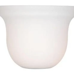 Cheapest ⌛ Patriot Lighting® Frosted Opal Replacement Glass 💯