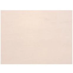 Brand new 🌟 Patriot Lighting® White Panel Replacement Glass ⌛