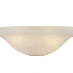 Best reviews of 💯 Patriot Lighting® Frost Seeded Bowl Replacement Glass 🥰