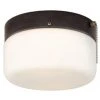 Outlet 🎁 Patriot Lighting® Drum Bronze 2-Light Flush Mount Ceiling Light ❤️ 1 Outlet 🎁 Patriot Lighting® Drum Bronze 2-Light Flush Mount Ceiling Light ❤️ -Patriot Lighting Sales vx cc1490bz
