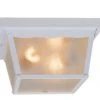 Promo 👍 Patriot Lighting® McCormick White 2-Light Flush Mount Outdoor Ceiling Light 🥰 -Patriot Lighting Sales vx oc1012w