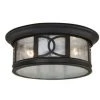 Best reviews of ✨ Patriot Lighting® Sterling Forged Bronze Outdoor Flush Mount Ceiling Light ⭐
