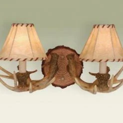 Buy ✔️ Patriot Lighting® Lodge 2-Light Noachian Stone Indoor Wall Light 😀